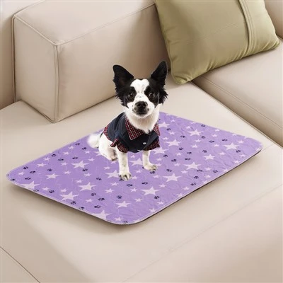 Almohadillas para mascotas de secado rápido